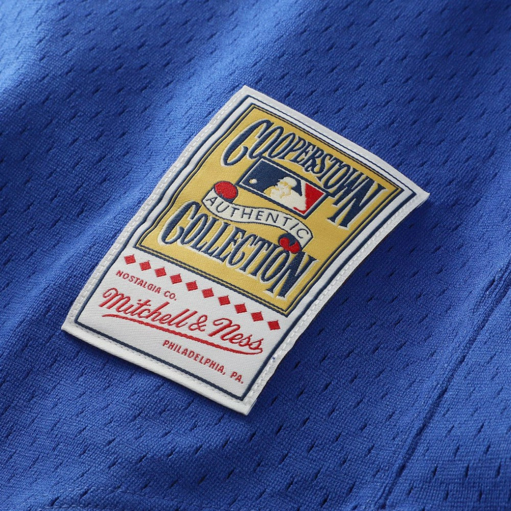 Nolan Ryan Texas Rangers Mitchell & Ness Authentic Batting Practice Jersey - Royal - Mitchell & Ness on Sale
