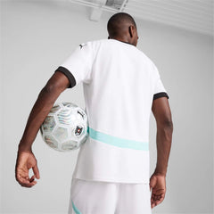 2024-25 Austria Men's Stadium Away Soccer Jersey Puma