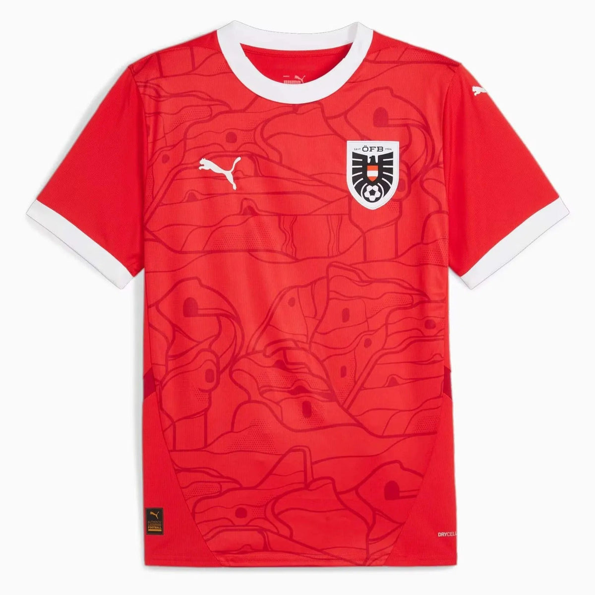 2024-25 Austria Men's Stadium Home Soccer Jersey Puma