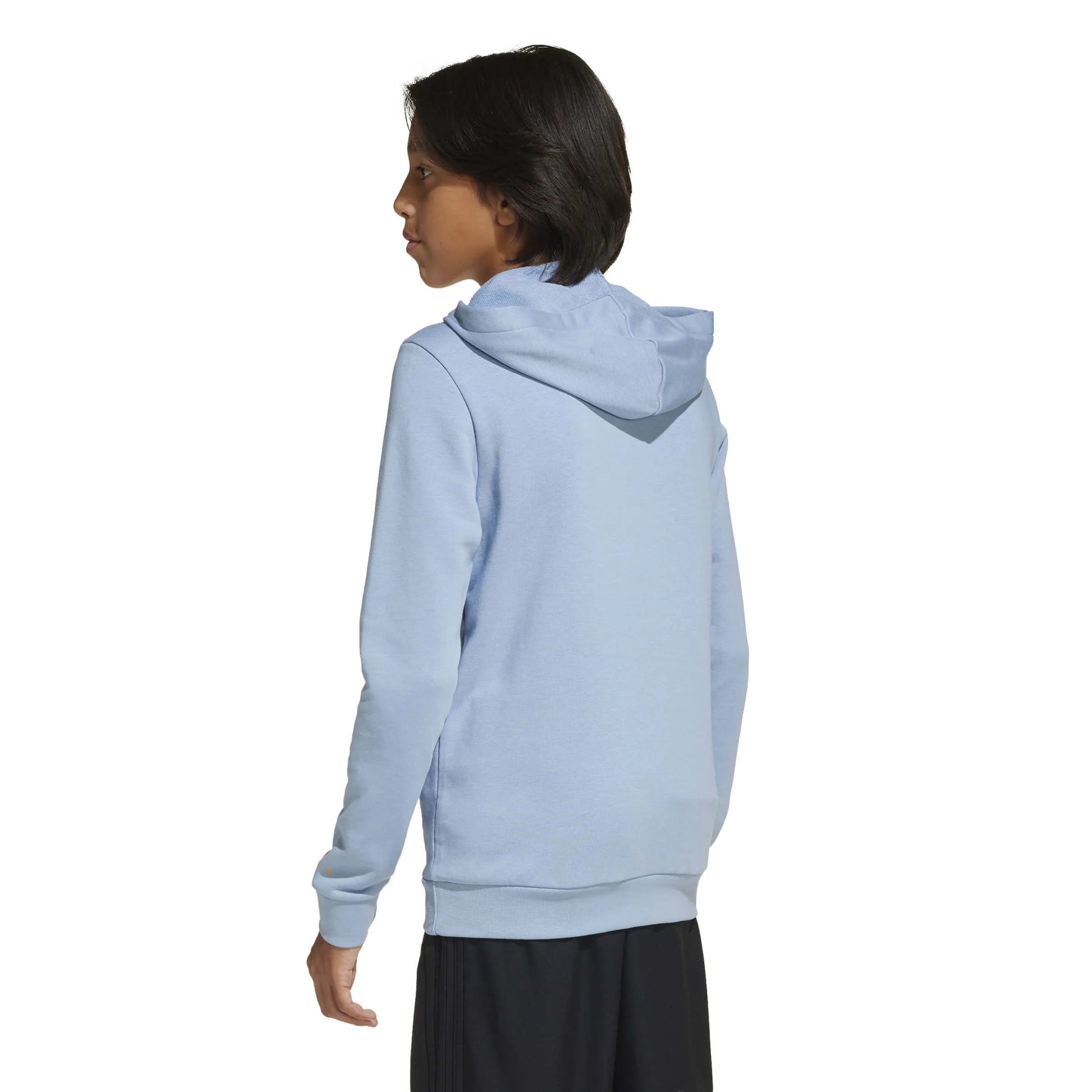 2025-26 Argentina Youth Anniversary DNA Soccer Hoodie Adidas