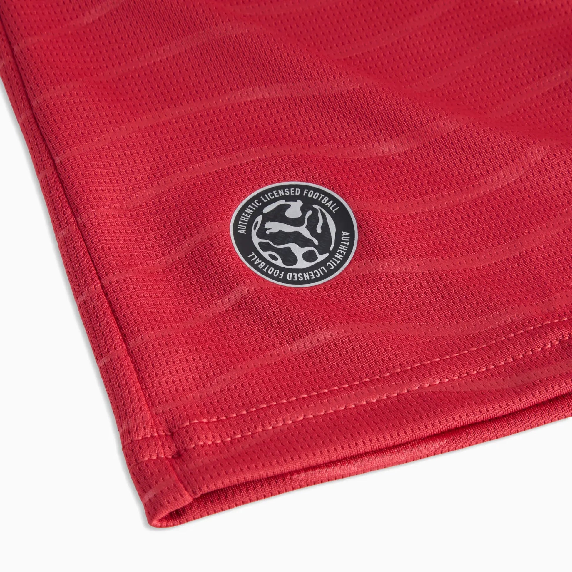 2026 Portugal Youth Stadium Home Ronaldo #7 Soccer Jersey Puma